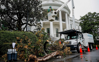 What We Lost in 2025, Sausage Balls