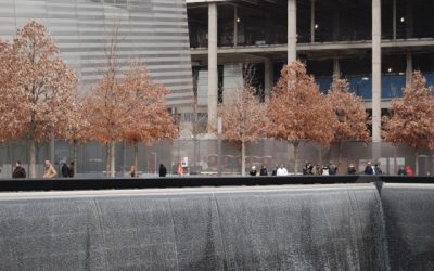 When Leaves Don’t Leave, Dan Dan Salad