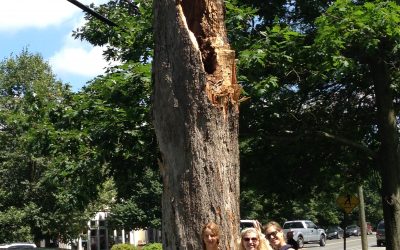 Life after Death, Make Your Own Weed Killer