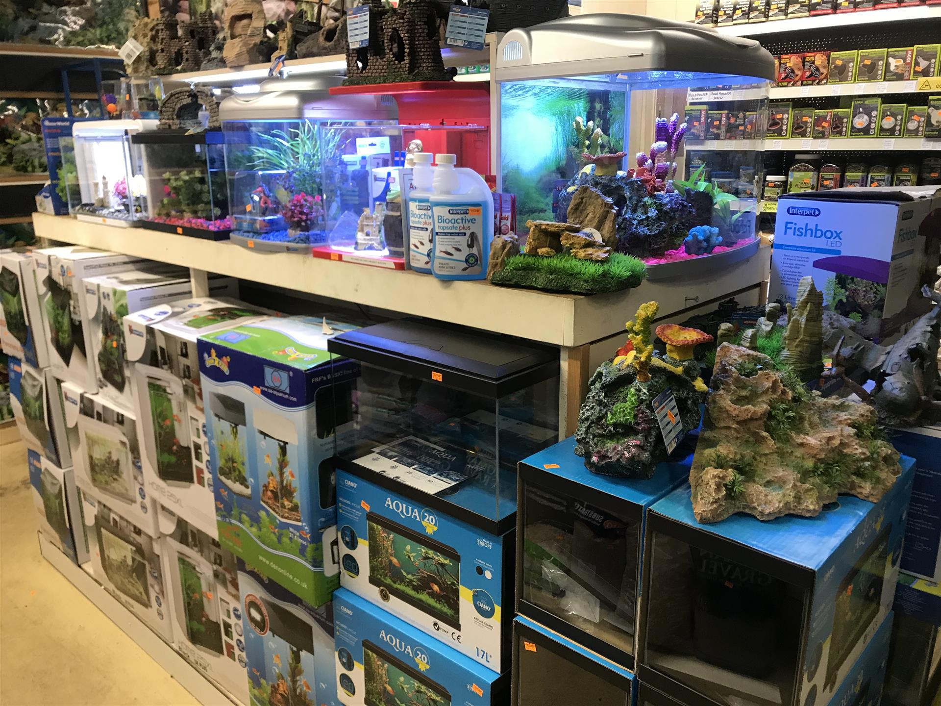 The Aquarium Pet Store