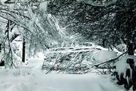 Spot a downed power line? Stay away and call for help!