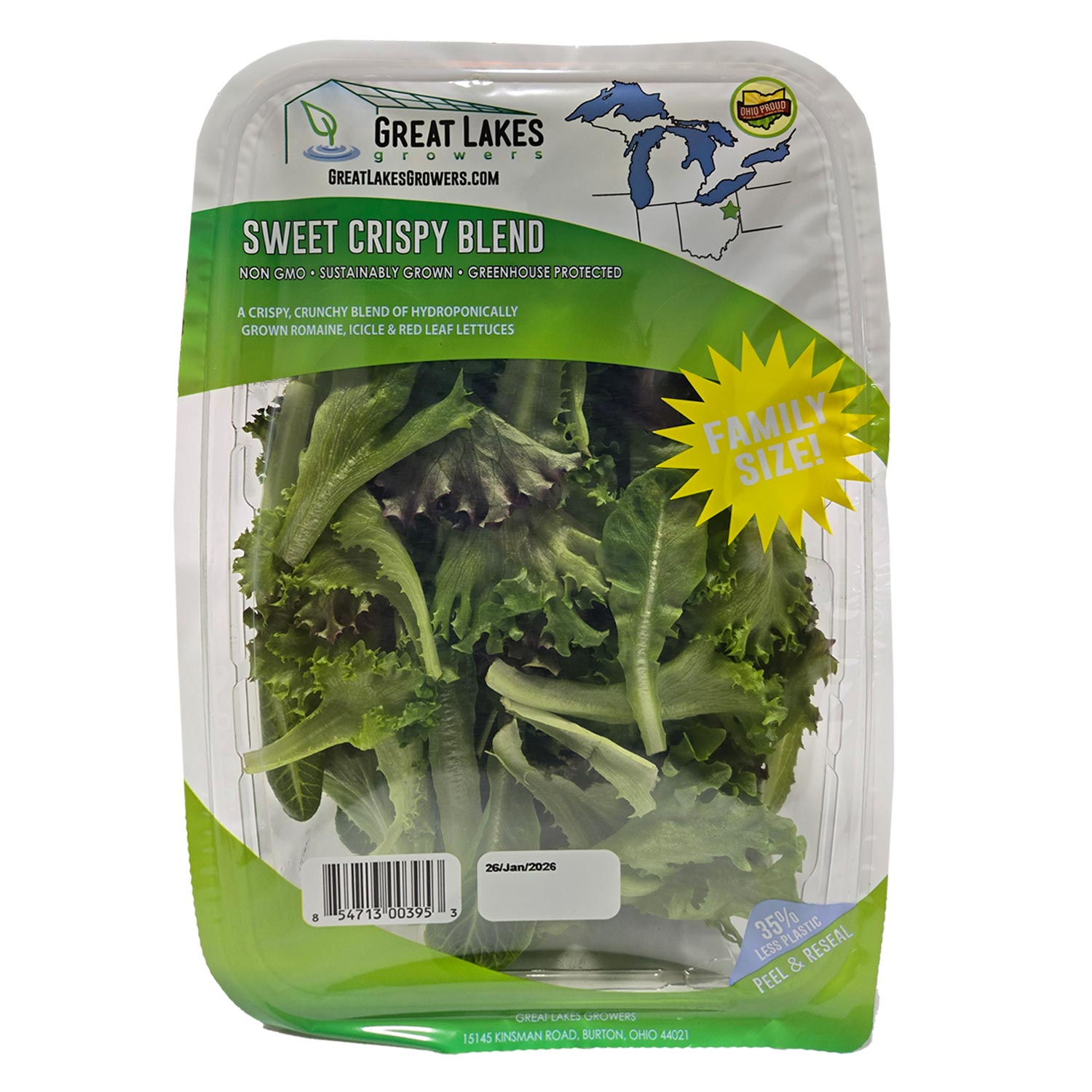 green leaf lettuce
