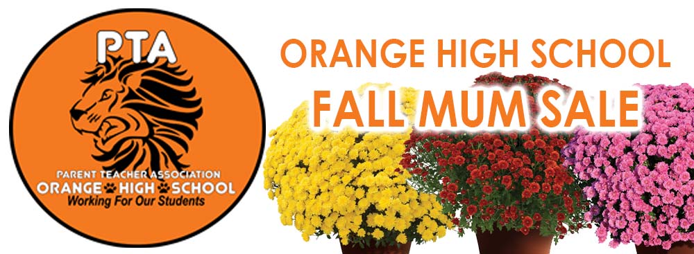 Orange-High-School-FALL-MUMS orange high school plant sale