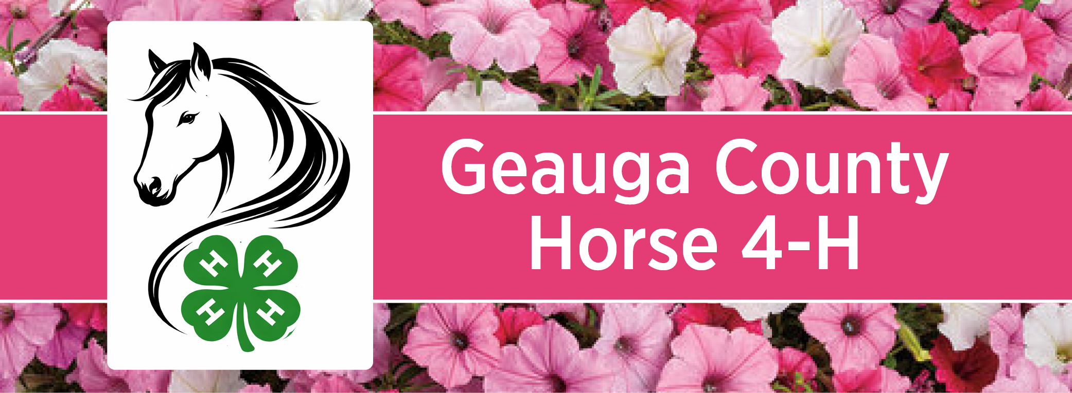 Boy Scouts of America Troop 750