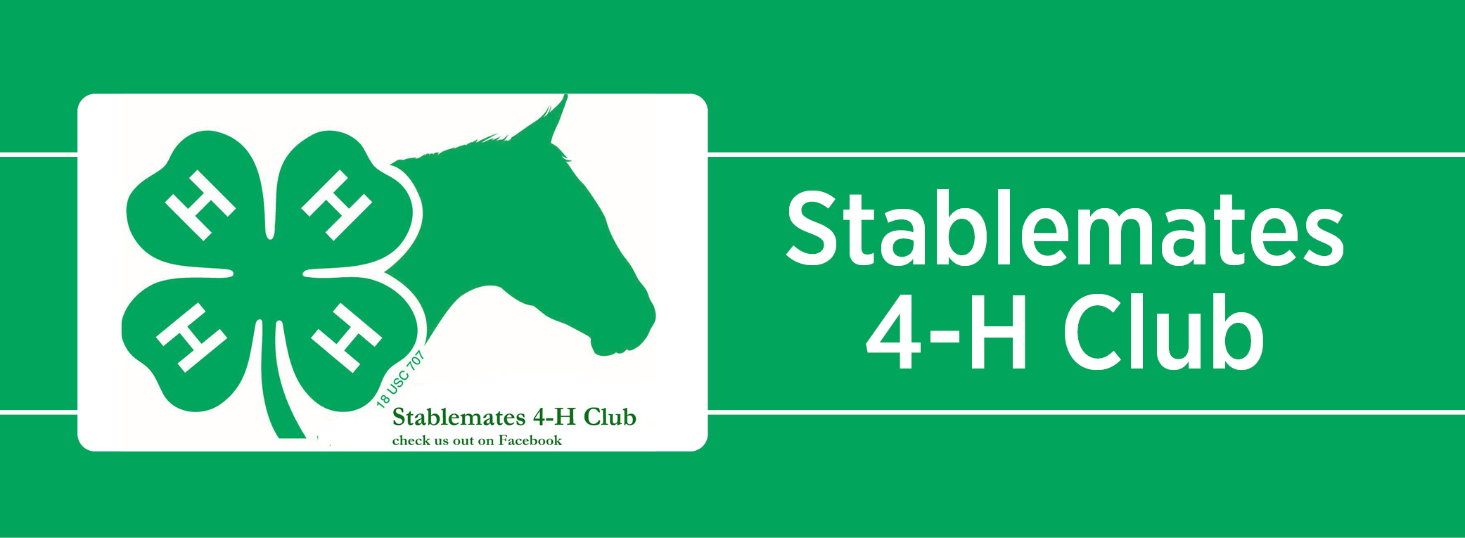 Stablemates 4H Fall Mum Fundraiser
