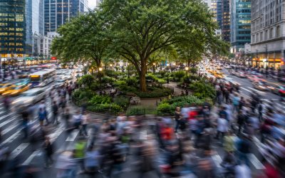 Metabolizing Disruption